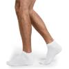 imageJockey Mens Mens Everyday Cotton Blend Low Cut Sock  8 PackWhite