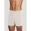 imageJockey Mens Underwear Organic Cotton Stretch 4quot BoxerBone