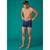 imageJockey Mens Underwear Organic Cotton Stretch 4quot Trunk  3 PackLake SkyTornado BlueInk Well