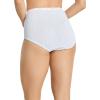 imageJockey Womens Underwear Classic Brief  3 PackPicasso BlueFlower SunsCaspian Sea