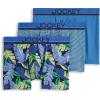 Fanning Flora/True Blue/Frolic Stripe