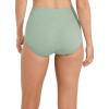 imageJockey Womens Elance Breathe Brief  3 PackDried SageCherry WineDreamy Blue