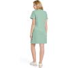 imageJockey Womens Organic Cotton TShirt DressCeladon Zen