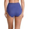imageJockey Womens Underwear Worry Free Microfiber Moderate Absorbency BriefFuture Dusk
