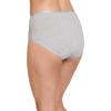 imageJockey Womens Underwear Worry Free Cotton Stretch Heavy Absorbency BriefGrey Heather