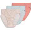 Paradise Peach/Peach Garden Geo/Echo Blue