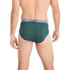 imageJockey Mens Underwear Infinite Cool Microfiber Stretch Brief  3 PackCactus PineShowerFresh Coast