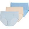 imageJockey Womens Underwear Supersoft Brief  3 PackLight Blue and Peach