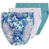Cove/Rain Stripe/Luscious Blue Bloom