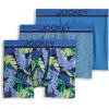 Fanning Flora/True Blue/Frolic Stripe