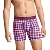 Celebrate Plaid
